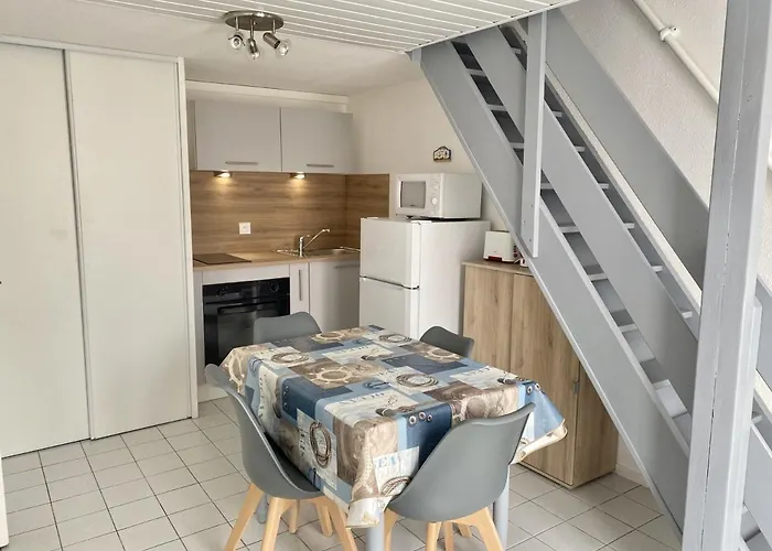 Maison à 300m De La Plage, Avec Terrasse, Parking Privatif, Animaux Admis ! - Fr-1-231-140